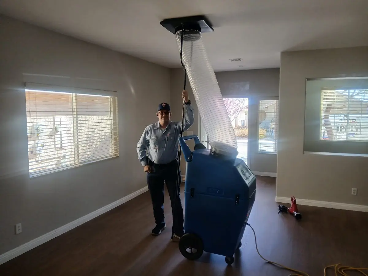 Professional Dryer Vent Cleaning work inside a Rehoboth home